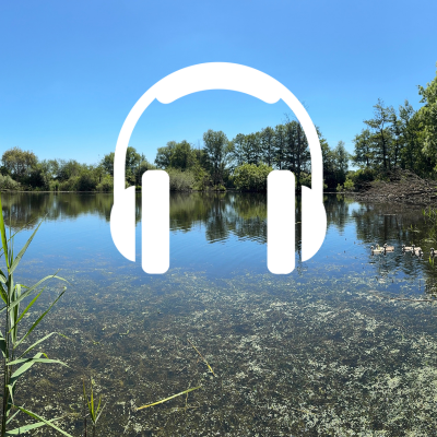 Motiv Audiolehrpfad